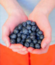 blueberry_anti_inflammatory_food